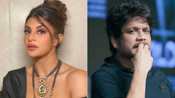 The Ghost: Jacqueline Fernandez opted out of Nagarjuna Akkineni's film because makers couldn't afford her?