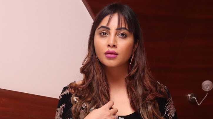 Arshi Khan said yes to a swayamvar show for this reason; reveals what her ideal man should be like