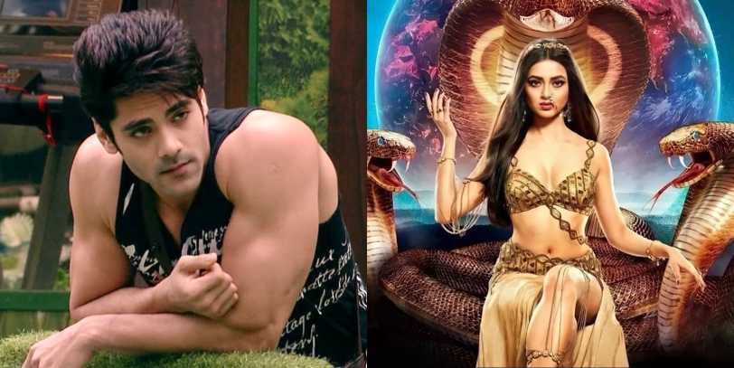 Naagin 6: Simba to play an Army officer; reacts to rumors of Tejasswi winning Bigg Boss 15 because of Ekta’s show