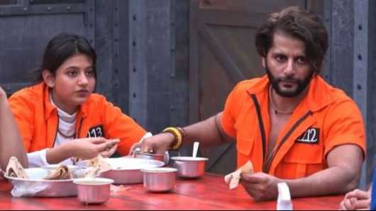 Lock Upp: Karanvir Bohra allowed mobile phone on the show? His recent social media activity leads fan to raise question