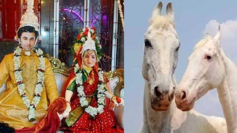 Ranbir Kapoor-Alia Bhatt wedding: Here are weird happenings around couple's wedding