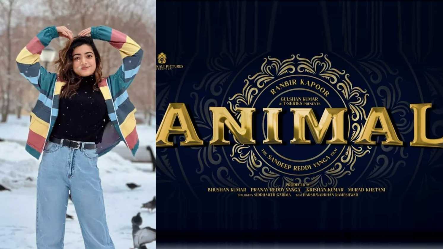 Rashmika Mandanna thrilled that news of her being a part of Ranbir Kapoor's Animal is out: 'Been waiting to tell the world'