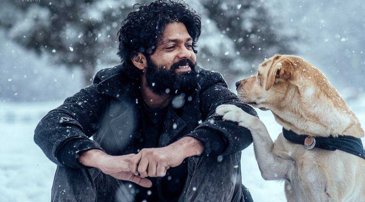 777 Charlie Movie Review - An enjoyable story about a man and his dog held back by a tiring and melodramatic second half