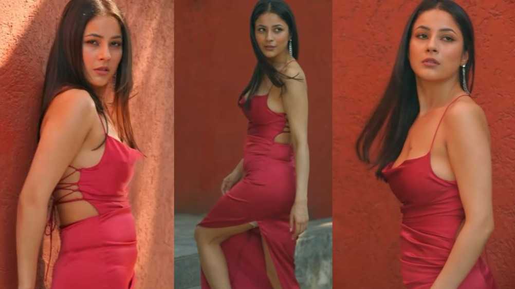 Shehnaaz Gill raises oomph factor in latest photoshoot, fans say 'Uff beauty'; Watch