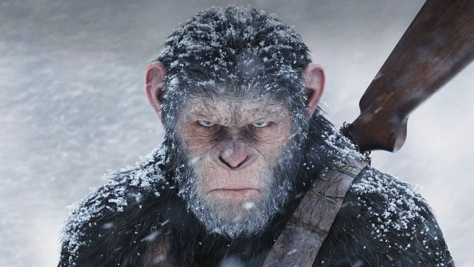 of The Apes finds new lead in The Stand actor Owen Teague who