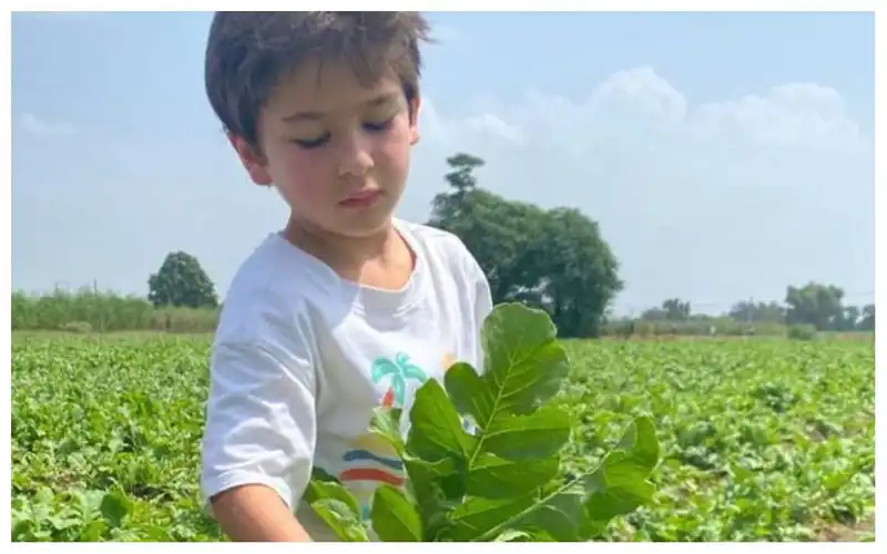 Unfazed by Laal Singh Chaddha's failure, Kareena Kapoor Khan is ready to enjoy Mooli Ke Parathe with son Taimur