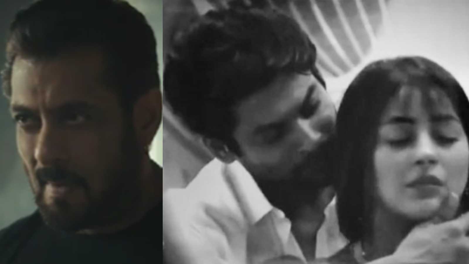 Sidnaaz will blossom forever' : Sidharth Shukla and Shehnaaz Gill's fans celebrate the pair being spotted on