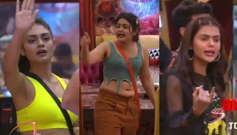 Bigg Boss 16: Sreejita calls Gori Nagori 'standard less'; Priyanka and MC Stan fiercely come out in latter’s support