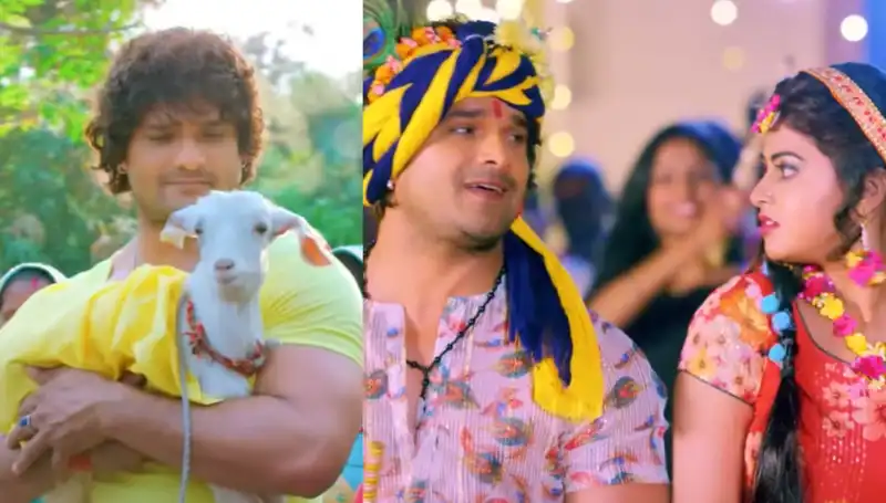 Bol Radha Bol Trailer: Khesari Lal Yadav’s new avatar wins hearts; fans hail him as king of Bhojpuri industry