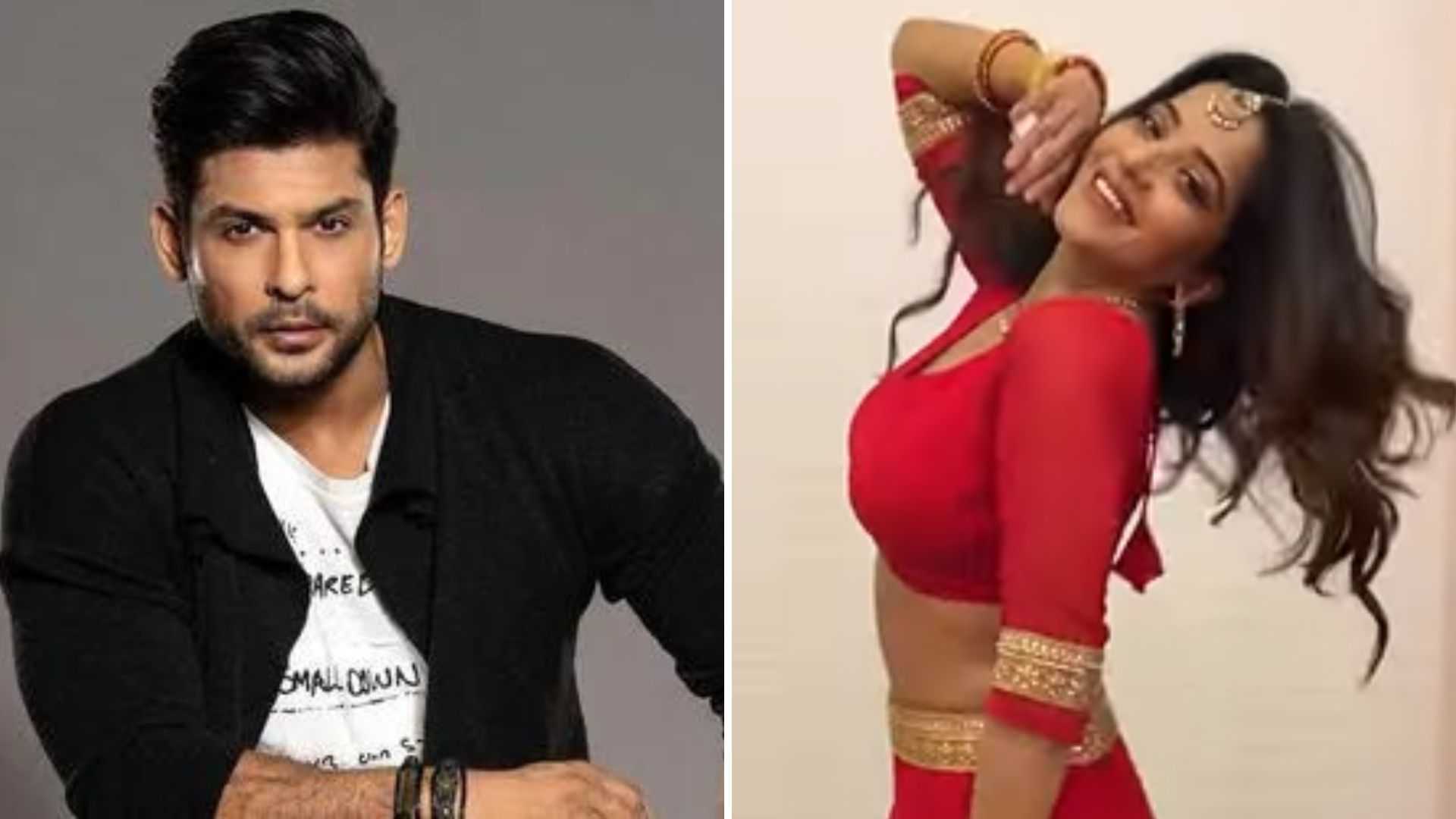 Sidharth Shukla's fans get emotional after Bhojpuri star Monalisa shares a clip of her throwback music video with him