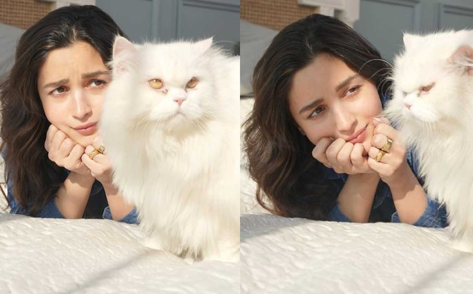 Alia Bhatt's not-so-happy Sunday with her cat Edward ignoring her is too cute to miss; netizens feel Raha Kapoor is the reason