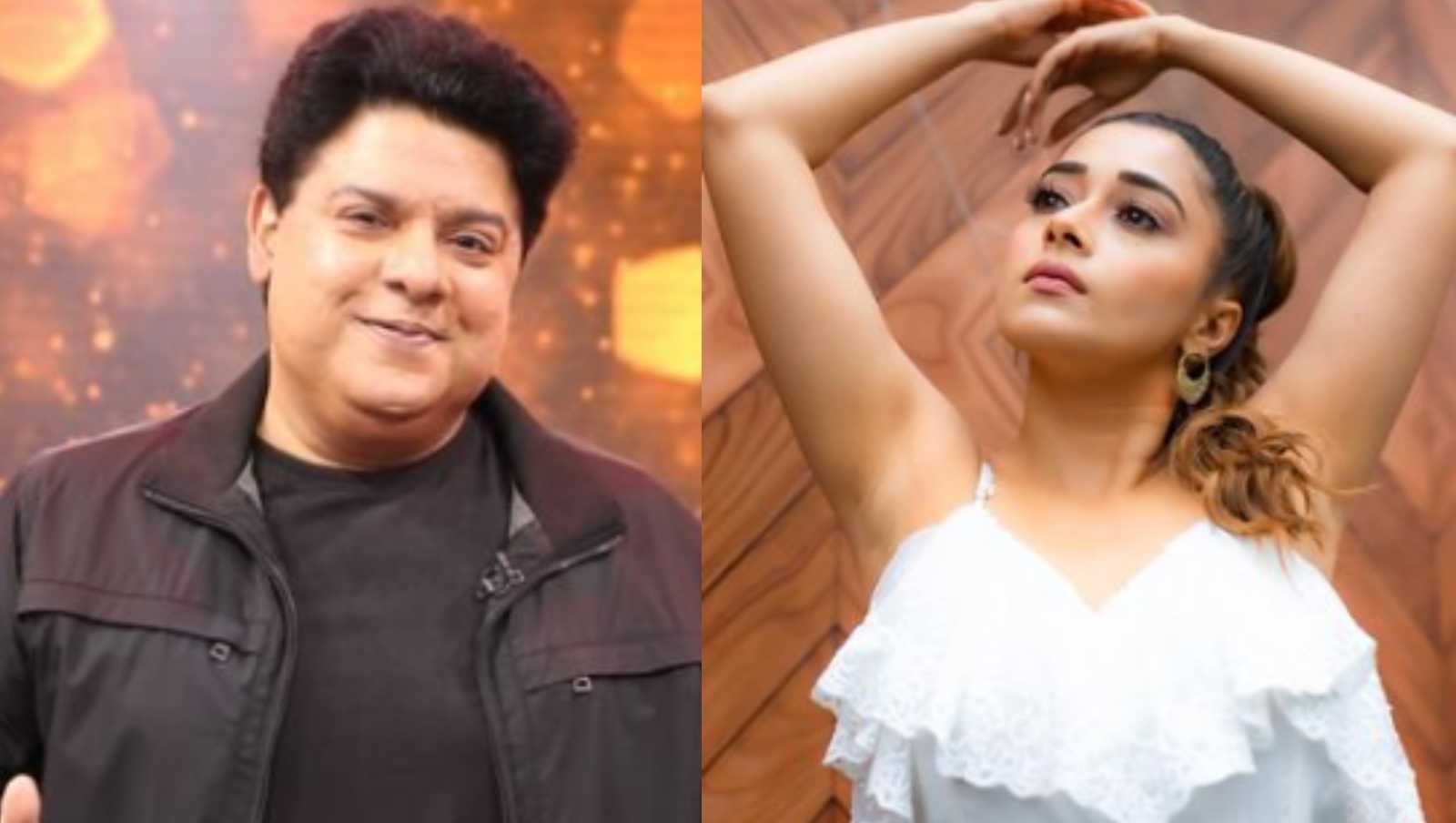 Sajid Khan, Tina Datta: These Bigg Boss 16 contestants got the 'villain' and 'vamp' tag on the show due to their antics