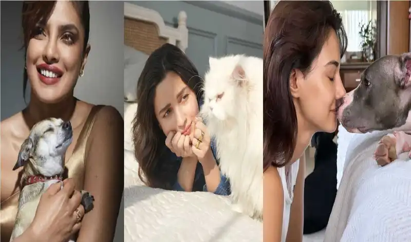 Alia Bhatt's cat Edward to Ananya Panday's dog Astro, here are adorable pictures of Bollywood celebs with their pets