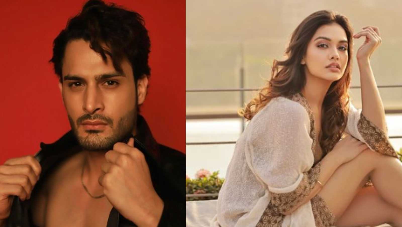 Divya Agarwal and Umar Riaz become the first confirmed contestants of Kangana Ranaut's Lockupp 2? read deets
