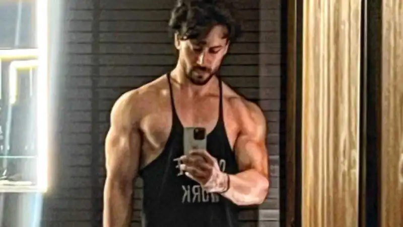 Happy Birthday Tiger Shroff: 5 times the Heropanti actor gave major thirst traps to all the ladies out there 