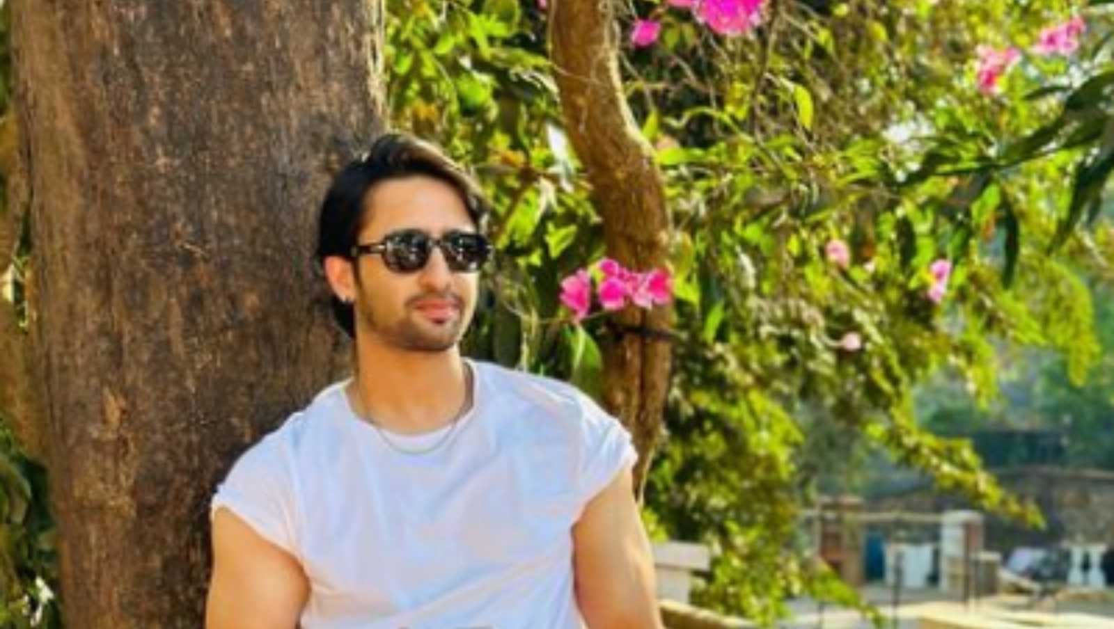Happy Birthday Shaheer Sheikh: These pictures of the Mahabharat actor prove why he is the evergreen heartthrob of television