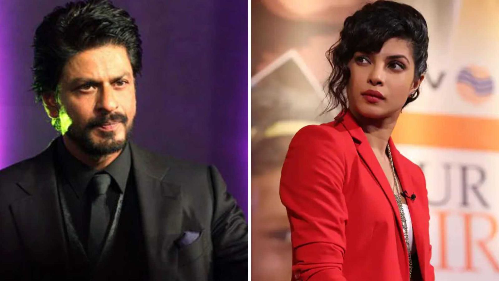 हॉलीवुड ने नाम पर ताना मारने वाले शाहरुख खान पर भड़कीं प्रियंका चोपड़ा, डॉन की 'जंगली बिल्ली' ने सुनाई खरी खरी