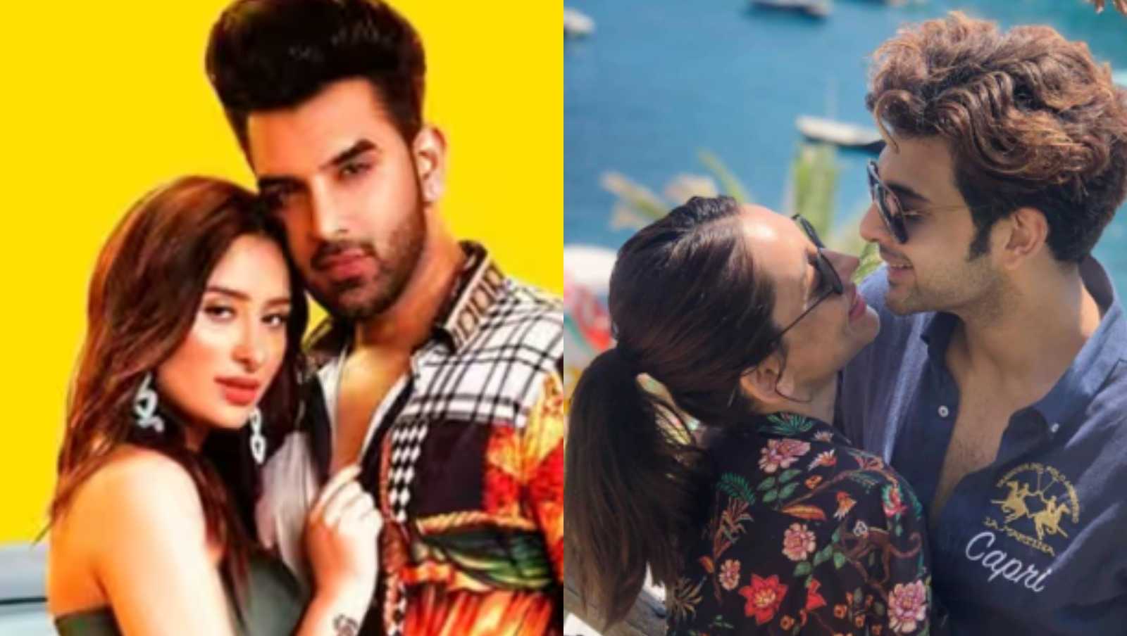 Paras Chhabra-Mahira Sharma, Karan Kundrra-Anusha Dandekar: Former reality show couples whose breakup shocked the internet