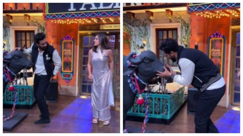 The Kapil Sharma Show: सारा को छोड़ विक्की कौशल ने किया भैंस संग रोमांस, एक्ट्रेस ने गुस्से में मारी लात