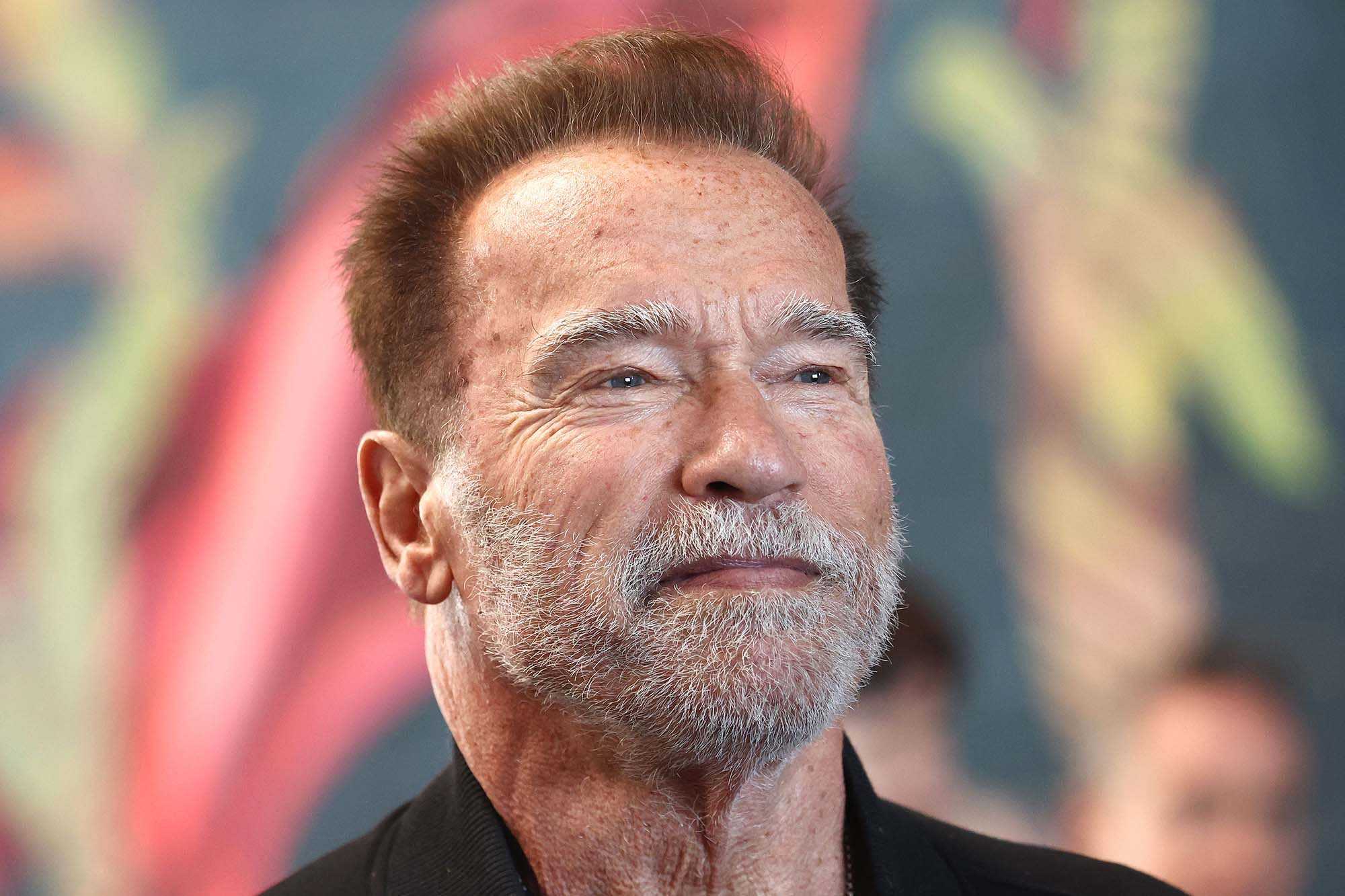 <p>Arnold Schwarzenegger (Source: IMDB)</p>