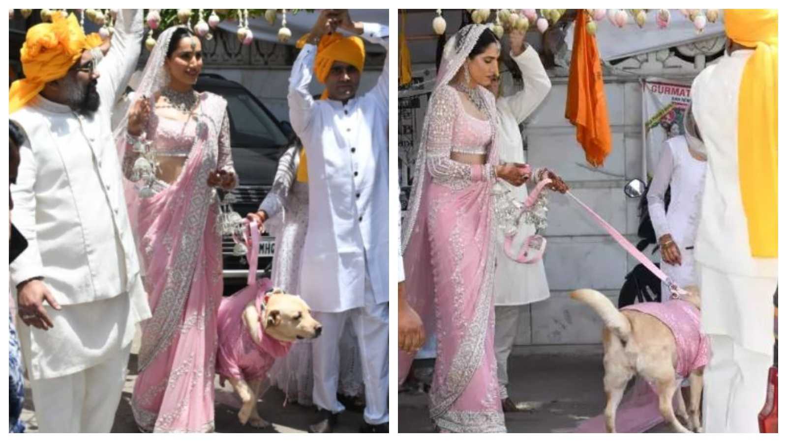 'Twinning with Doggy': Sonnalli Seygall arrives with her pet dog to marry Ashesh L Sajnani, netizens react