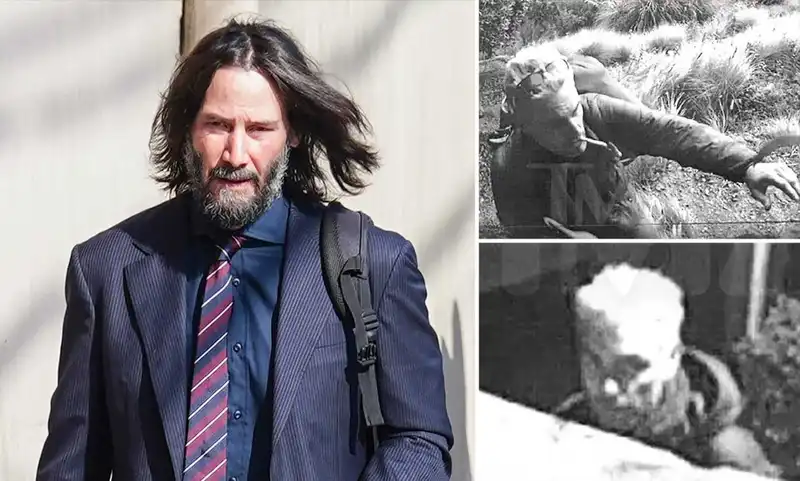 'Bizarre note and DNA kit': Inside Keanu Reeves' chilling stalking case by man claiming to be related