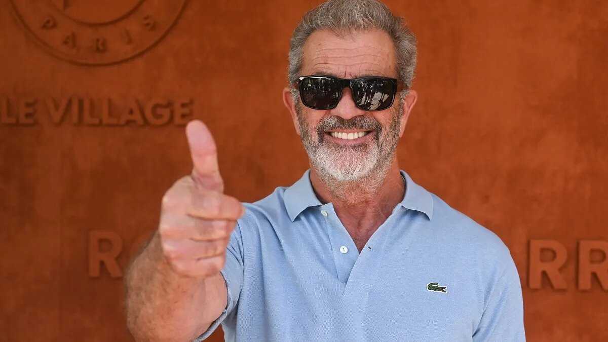 Mel Gibson (Source: We Got This Covered)