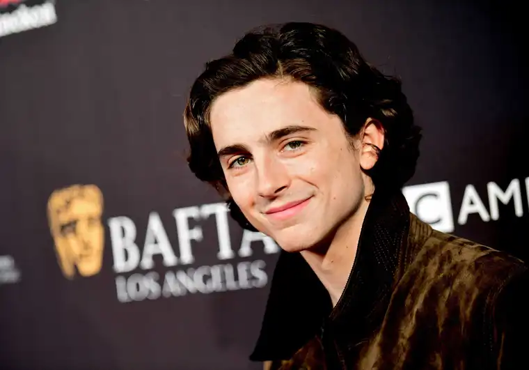 Timothee Chalamet (Source: MTV)