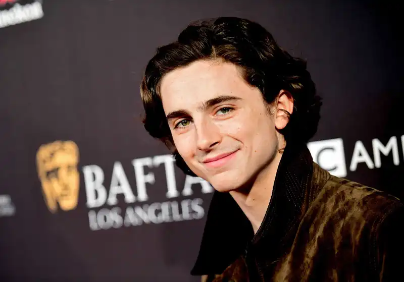 Timothee Chalamet (Source: MTV)