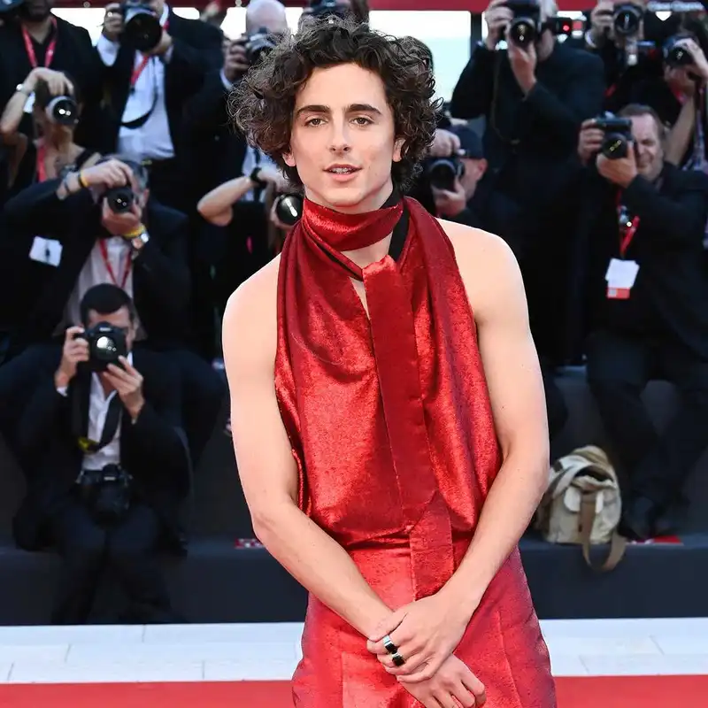 Timothée Chalamet at Venice Film Festival 2022 (Source: People)