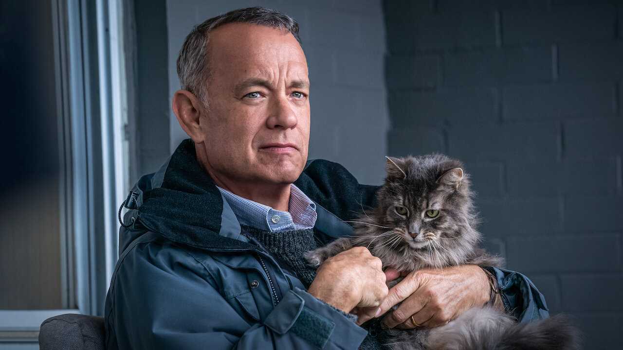 Tom Hanks (Source: Netflix)