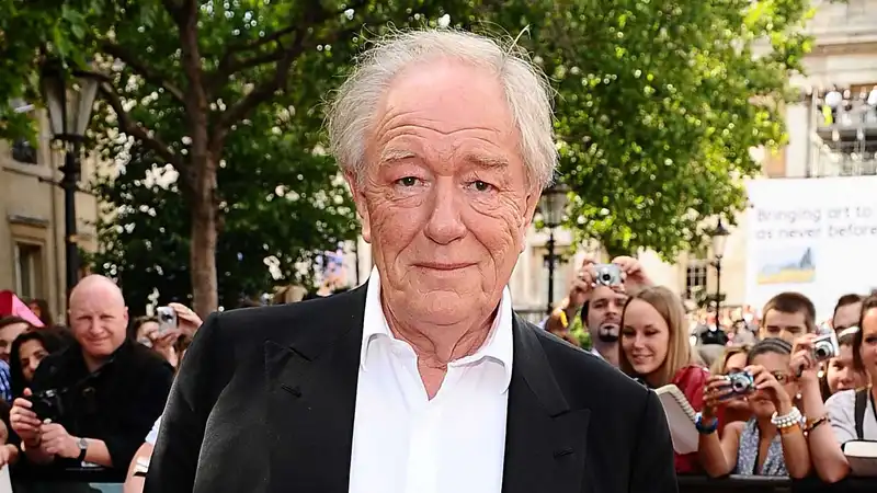 <p>Michael Gambon (Source: Sky News)</p>