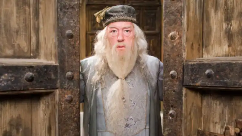 Michael Gambon as Professor Dumbledore