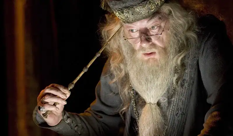 Michael Gambon as Dumbledore (Source: IMDB)