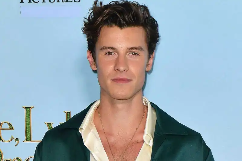 <p>Shawn Mendes (Source: People)&nbsp;</p>