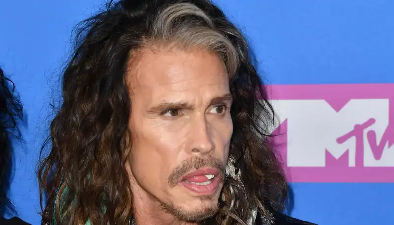 <p>Steven Tyler</p>