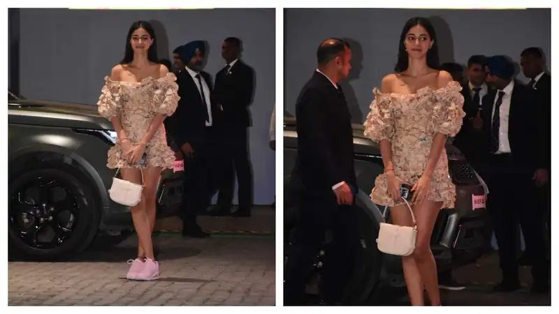 <p>Ananya Panday</p>