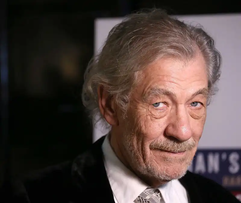 <p>Ian McKellen</p>