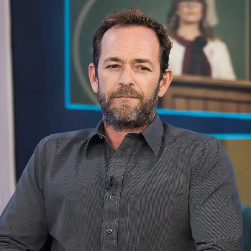 <p>Luke Perry</p>