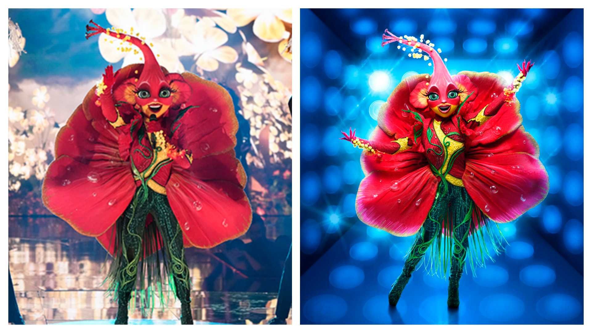 The Masked singer's hibiscus bloomed then dropped, revealing reality TV
