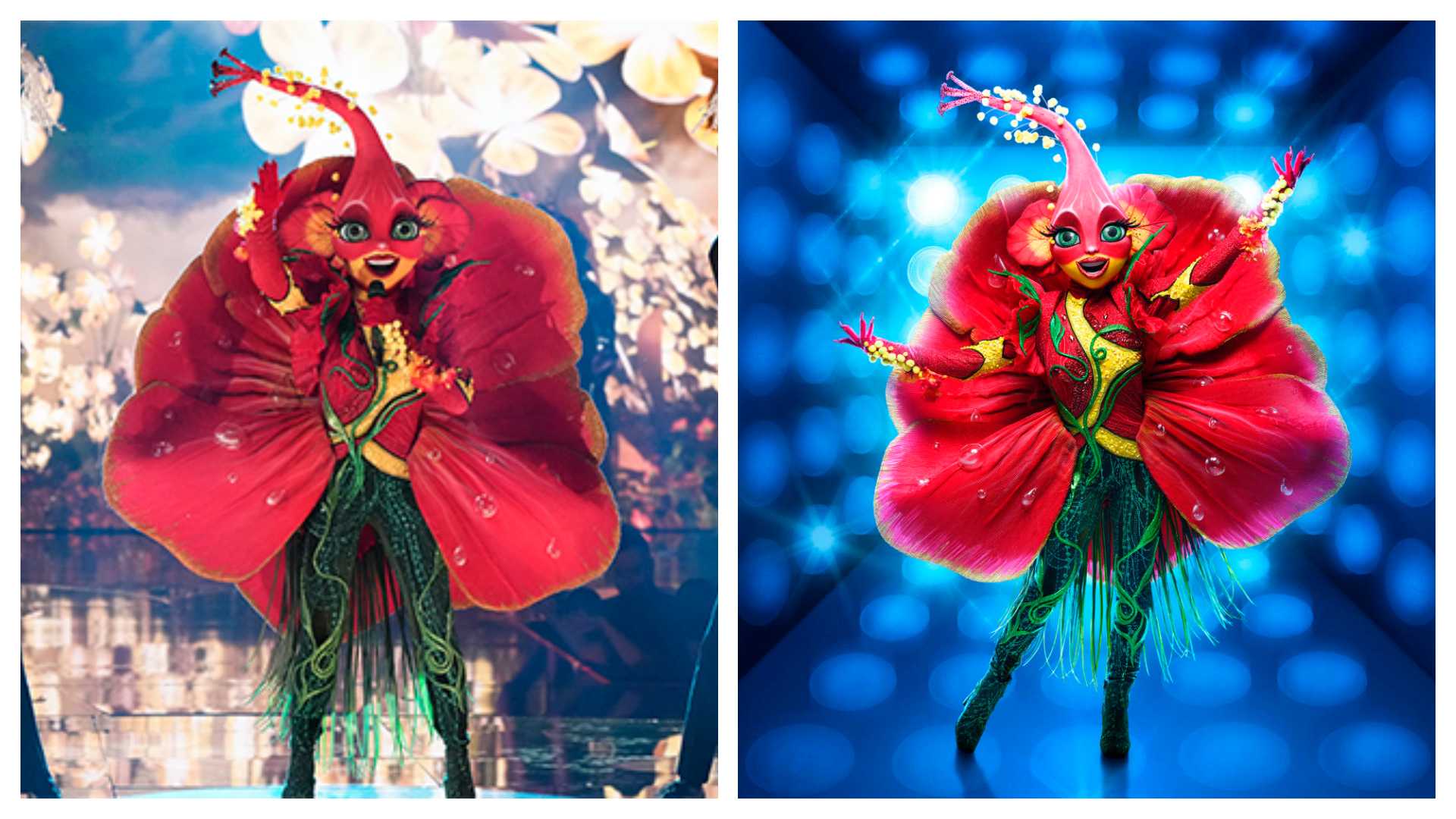 The Masked singer's hibiscus bloomed then dropped, revealing reality TV royalty
