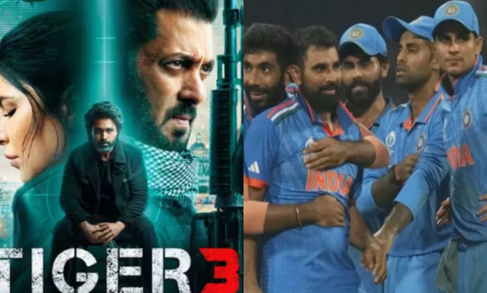 Tiger 3 Box Office Day 8 estimates: Salman Khan's spy thriller may face strong competition from World Cup 2023 Final