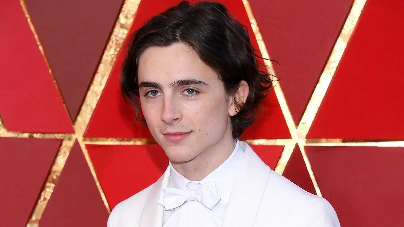 Timothée Chalamet (Source: The Hollywood Reporter)