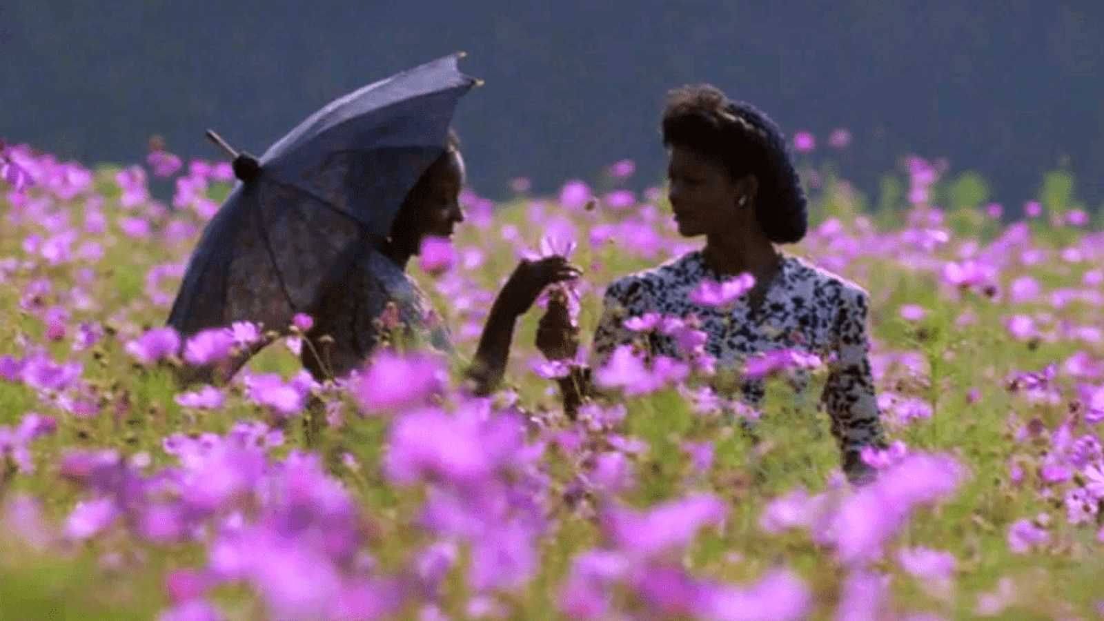 The Color Purple A journey from page to screen to stage and back again