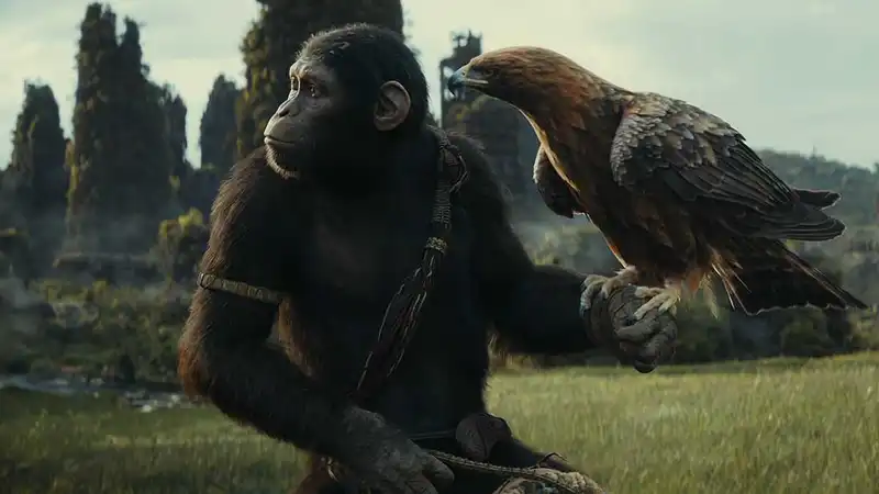 Kingdom of the Apes (Source: Youtube)