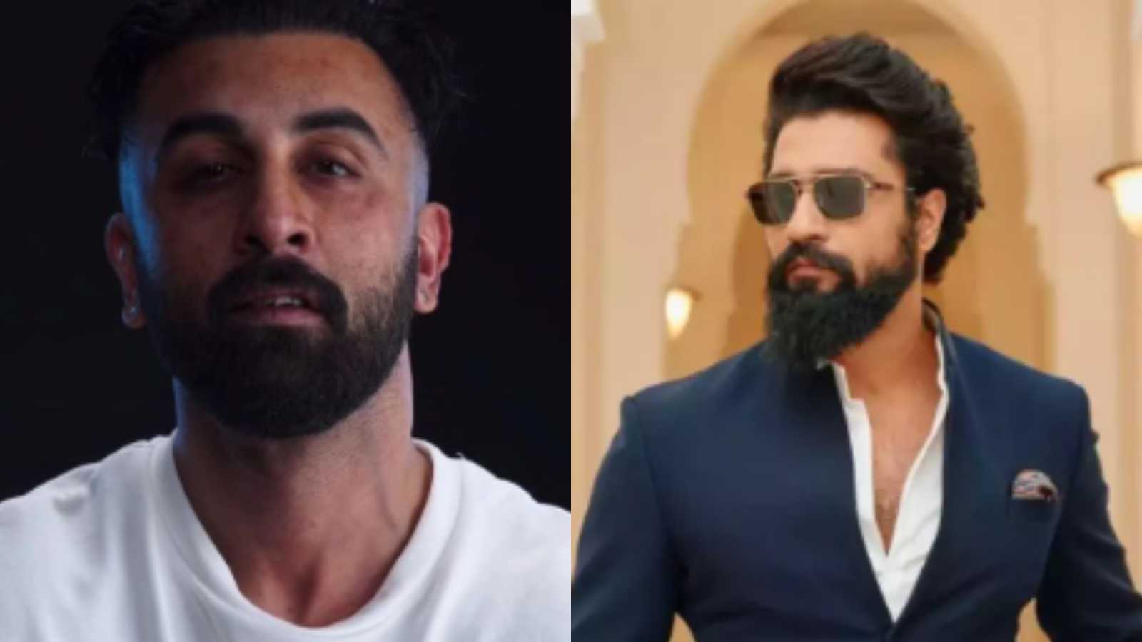 Ranbir Kapoor starrer Animal Park to star Vicky Kaushal as the antagonist? Here's what we know