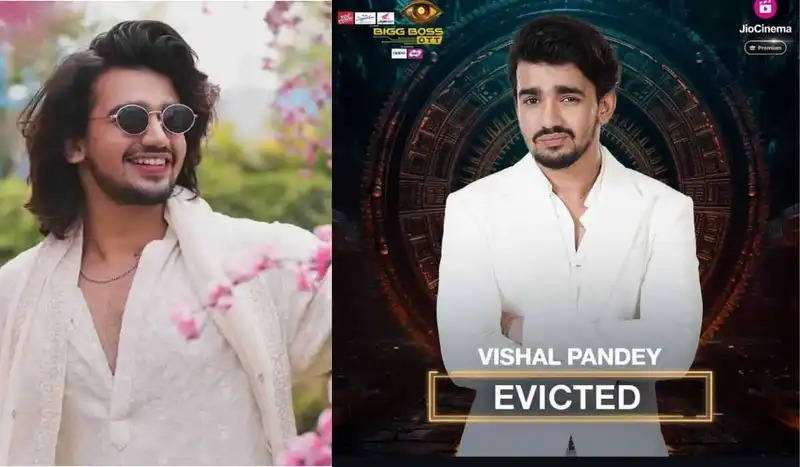 <p>Vishal Pandey and Shivani Kumari evicted</p>