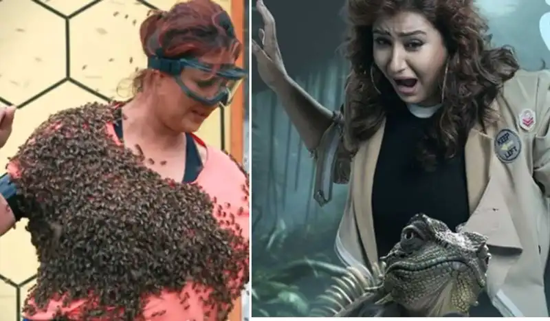 Khatron Ke Khiladi 14 - Shilpa Shinde to be back as a wild card contestant on Rohit Shetty's reality show?