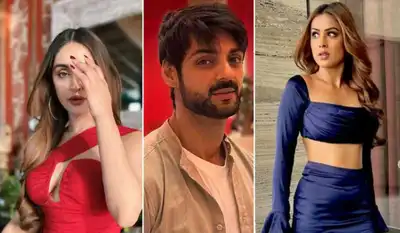 Krystle D'Souza, Karan Wahi questioned by ED in money laundering case; Nia Sharma has been summoned
