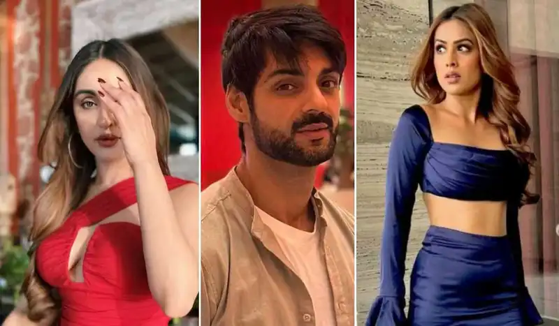 Krystle D'Souza, Karan Wahi questioned by ED in money laundering case; Nia Sharma has been summoned